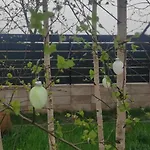 Kotlina Klodzka Pod Brzozami Kłodzko