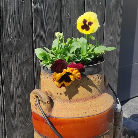 Kotlina Klodzka Pod Brzozami * Kłodzko