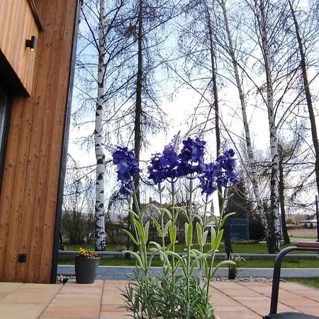 Kotlina Klodzka Pod Brzozami Holiday home Klodzko