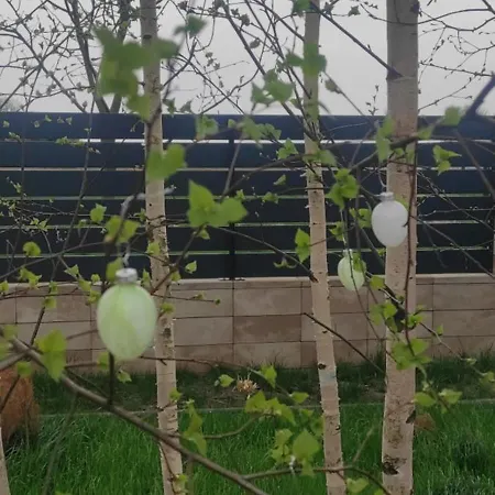 Kotlina Klodzka Pod Brzozami Kłodzko