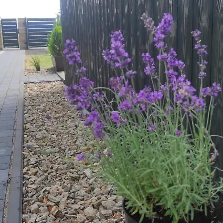 Kotlina Klodzka Pod Brzozami *