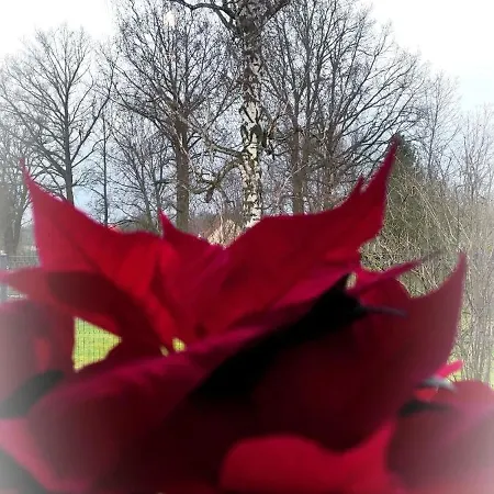 Dom wakacyjny Kotlina Kłodzka Pod Brzozami