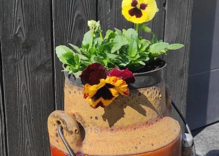 Kotlina Klodzka Pod Brzozami * Kłodzko