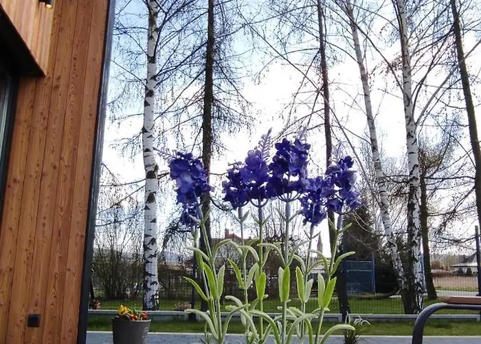 Kotlina Klodzka Pod Brzozami Casa vacanze Kłodzko