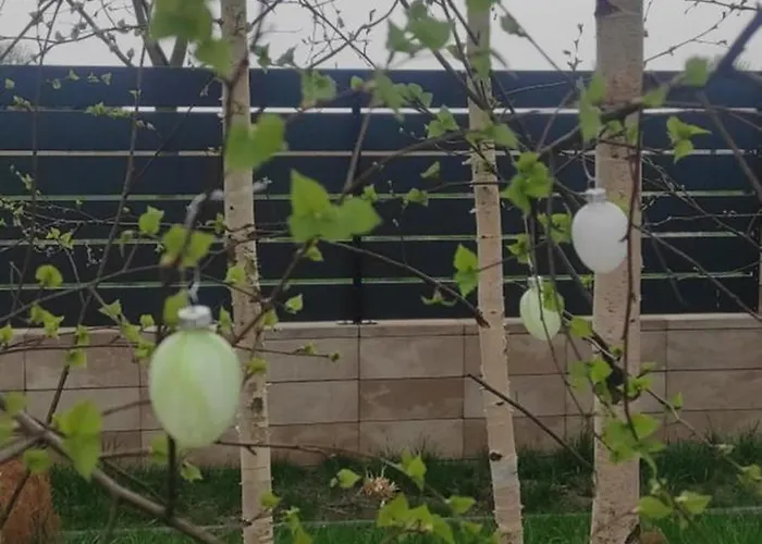 Kotlina Klodzka Pod Brzozami Kłodzko