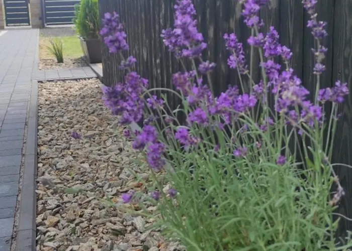 Kotlina Klodzka Pod Brzozami *