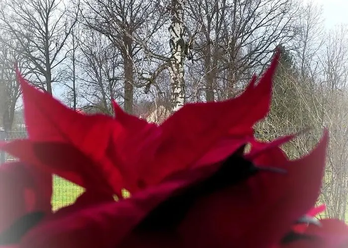 Casa de Férias Kotlina Klodzka Pod Brzozami